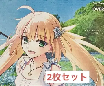 2장 세트 FGO 도쿠시마 신문 캐스트리아 fgo