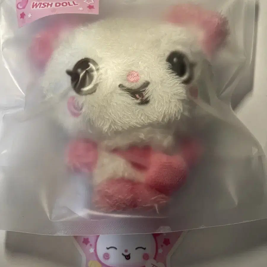 NCT WISH サクヤ WISH DOLL nct Wish Sakuya Doll Pang | eBay