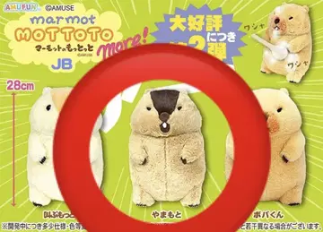 마모트의 못톳토 모아 봉제 인형 야마모토 약 28cm