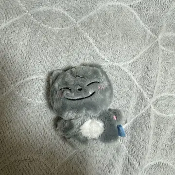 treasure 정우 봉제 인형