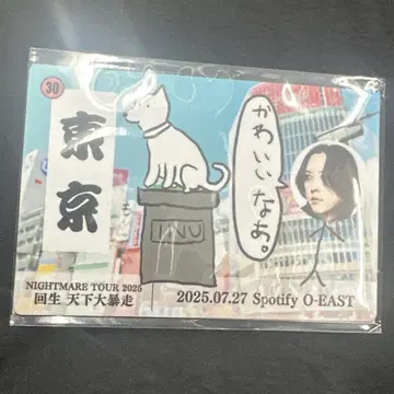 나이트메어 지역 마그넷