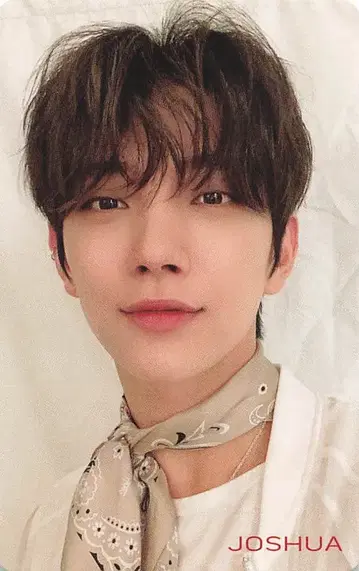 SEVENTEEN HMV JOSHUA 24H 조슈아