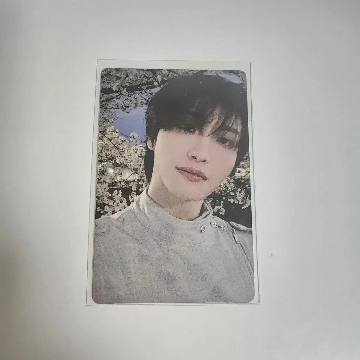 タレントカード ATEEZ IN YOUR FANTASY SEONGHWA タレントカード ATEEZ IN YOUR FANTASY SEONGHWA ATEEZ 2025