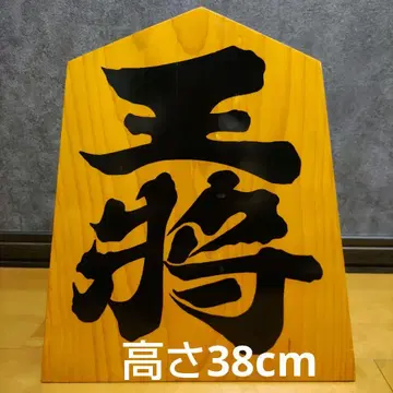 오쇼 높이 38cm 폭 33cm 4.6kg