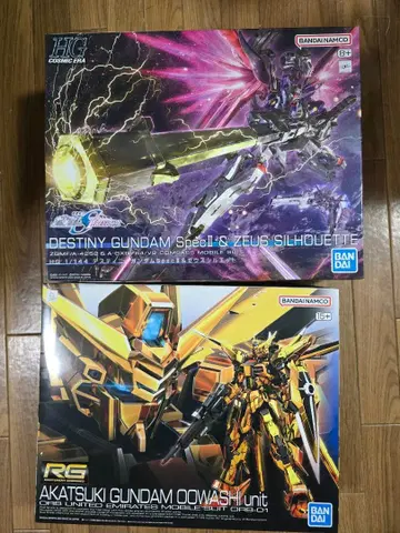 건담 프라모델 세트 HG 1/144 디스티니, RG 1/144 아카츠키