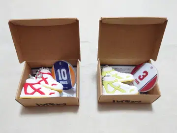 하이큐!! 미니어처 신발 컬렉션 2켤레 세트 히나타 요쿠