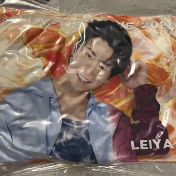 [익명 배송] 세구치 레이야 쿠션