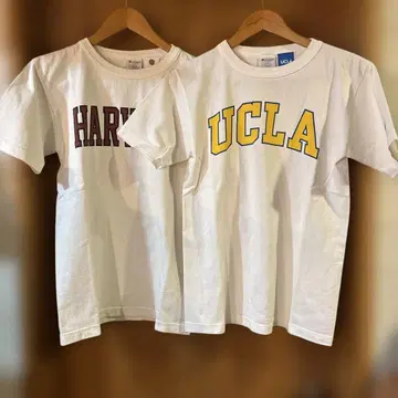 Champion HARVARD UCLA 티셔츠 S 사이즈