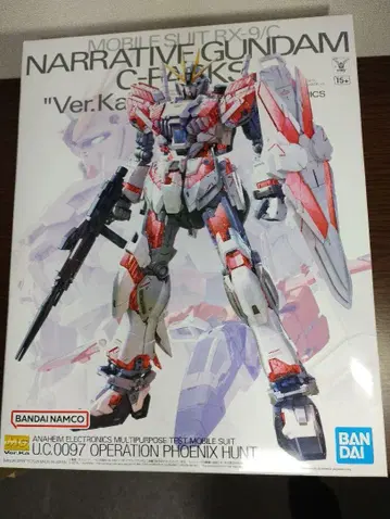 MG 1/100 NARRATIVE GUNDAM C-PACKS Ver.Ka