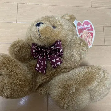 테디베어 브라운