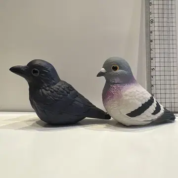 테노리 프렌즈 비둘기 까마귀 병아리 푸들