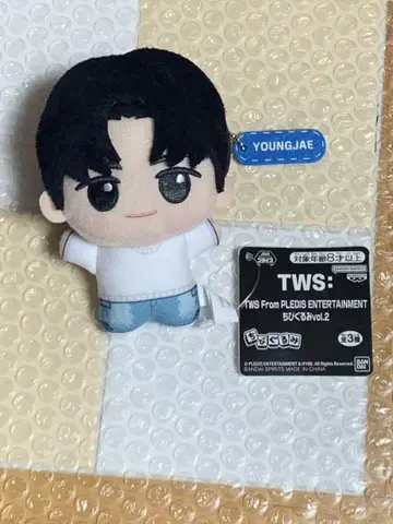 용제 TWS SD 인형 남코 한정판