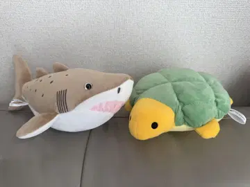 신에노시마 수족관 시로와니 & 카메론 빵 봉제 인형