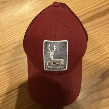 Patagonia 와인 레드 와펜 캡