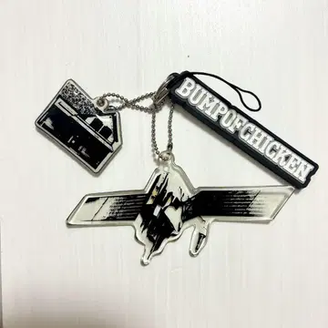 BUMP OF CHICKEN 키링 홈 위성 투어
