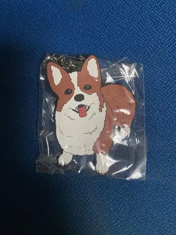 요루시카 봄도둑 키링 강아지 코기
