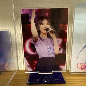 노기자카46 12th YEAR BIRTHDAY LIVE 아크릴 스탠드