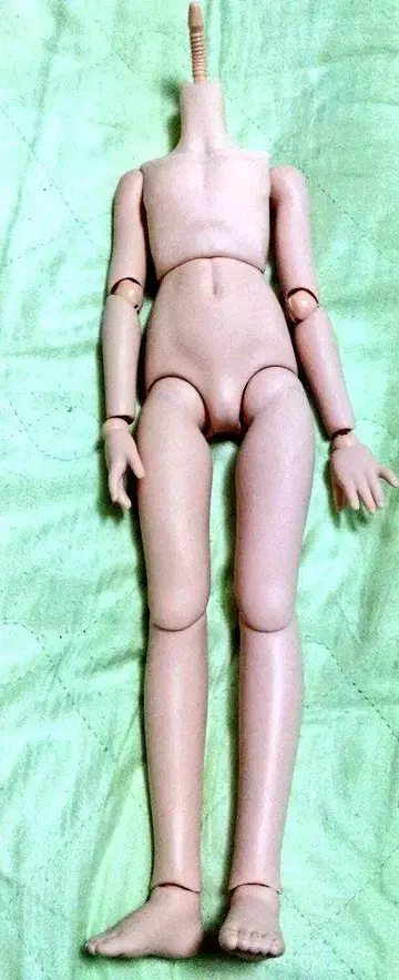 MDD 프레쉬 피부 딜러 제작 남자 가슴 부품 커스텀