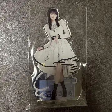 노기자카46 엔도 사쿠라 아크릴 스탠드 야마시타 미즈키 졸업 네이비