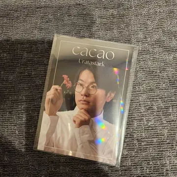 요시모토 코레카 카카오 우라타 스타크