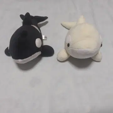 나고야항 수족관 봉제 인형 복권 오카미 2개 세트