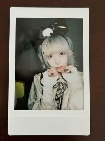 라부시쿠 하야테 폴라로이드