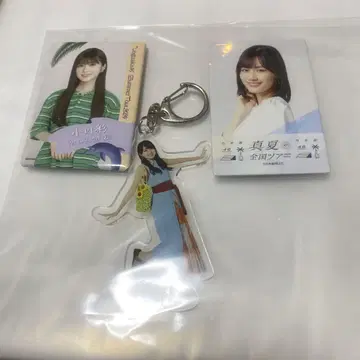 노기자카46 한여름 전국 투어 2024