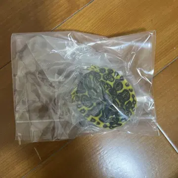 생물대도감 어드밴스 거북이01 플로리다레드벨리