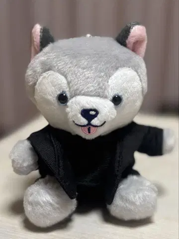 도우리견 봉제 인형