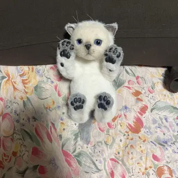 아트돌 샴 고양이 새끼 고양이
