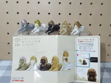 키탄클럽 고양이 파라오 풀 컴프