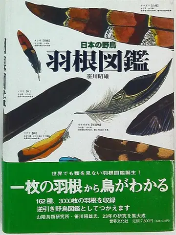 사사카와 아키오 결정판 일본 야생 조류 깃털 도감