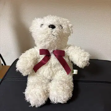곰 봉제 인형