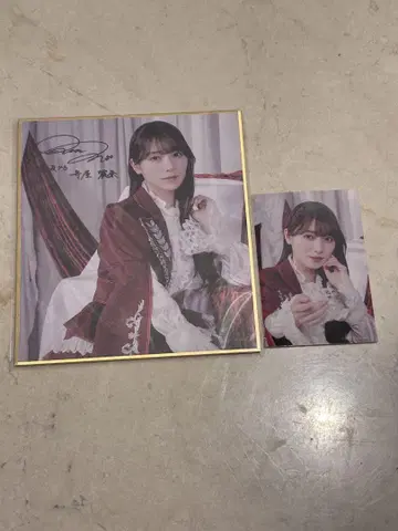 사쿠라자카46 사쿠코레 모리야 레이나 C상 참여상