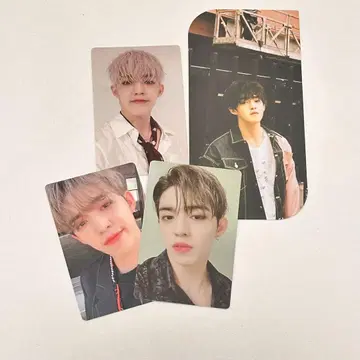 SEVENTEEN 에스쿱스 트레이딩 카드