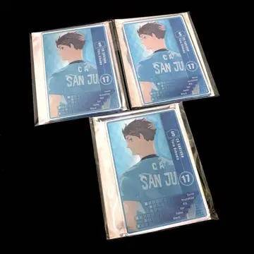 하이큐 오이카와 토오루 스탯 카드 3세트
