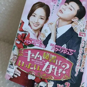 김 비서는 도대체 왜? DVD 한국 드라마 전권 박서준
