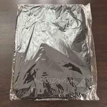 노기자카46 2020년 가젯 케이스