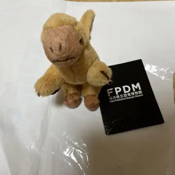 후쿠이 현립 공룡 박물관 후쿠이베나토루 마스코트 약 10cm