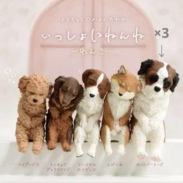 함께 자자 강아지 가챠가챠 가샤폰 세인트 버나드 굿즈