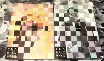 ASTRO 차은우 ENTITY 앨범 2 형태 트레이딩 카드 없음