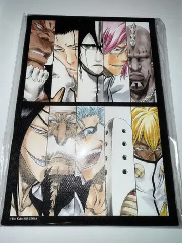 BLEACH 원화전 풀컬러 아트 보드 십인