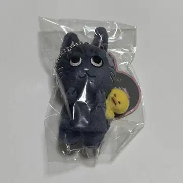 riize 원빈 봉제 인형 토냥덕 굿즈 키링