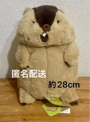 마모트의 모토모토 JB 마모트 야마모토 봉제 인형