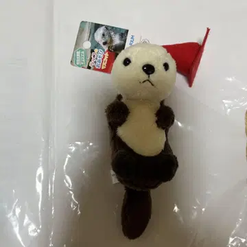 토바 수족관의 랏코
