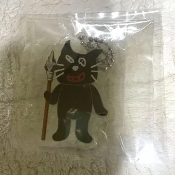 키요 고양이 창