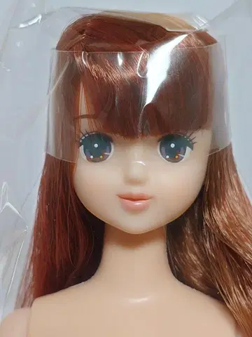 로베리아 즐거움 인형 미개봉 브라운 계열