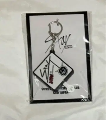 Stray Kids 리노 보이스 키링