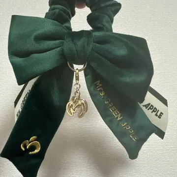 Mrs. GREEN APPLE 스크런치
