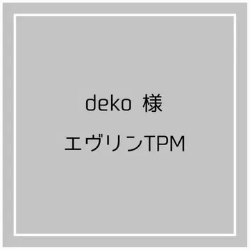 에블린 TPM 백 인 백 리버티